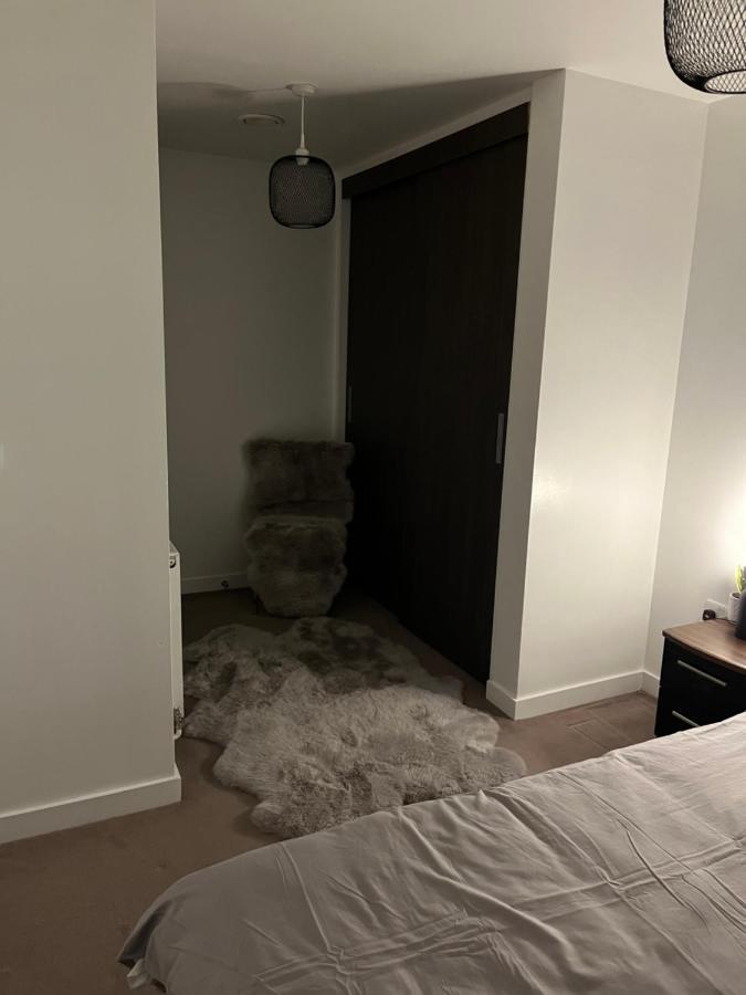 Luxurious Dlr Apartment London Exterior photo